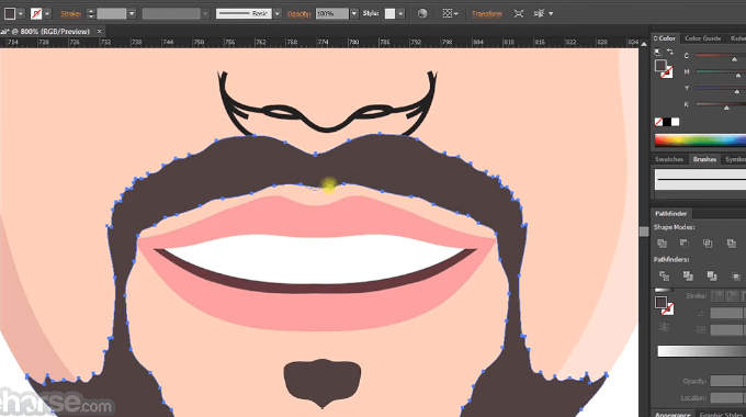 adobe illustrator cc 2019 download