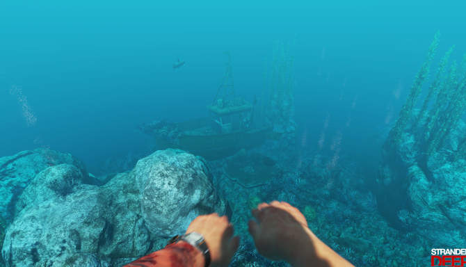 Stranded Deep cracked