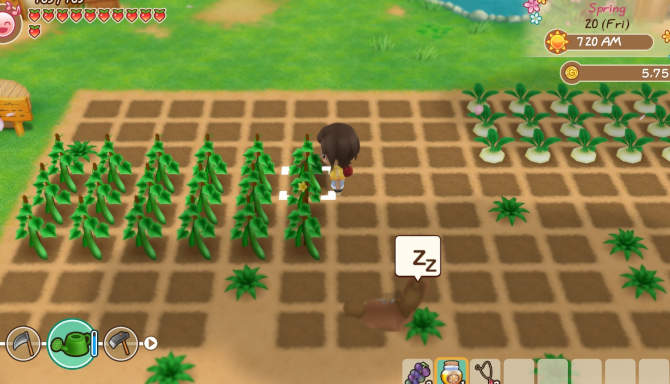 STORY OF SEASONS Friends of Mineral Town cracked