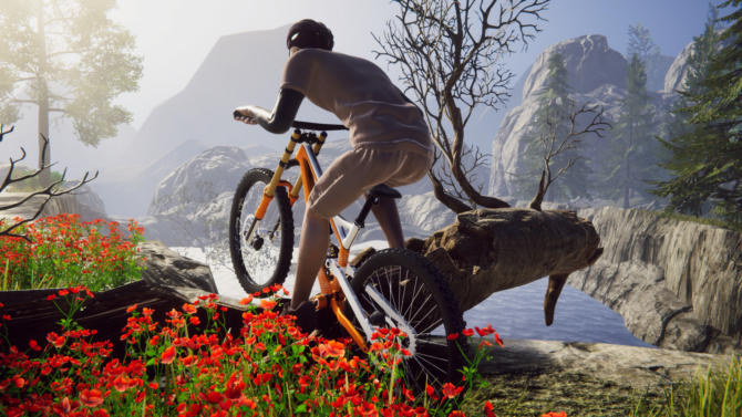 Bicycle Rider Simulator free cracked